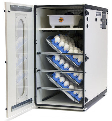 1500 Digital Professional Incubator