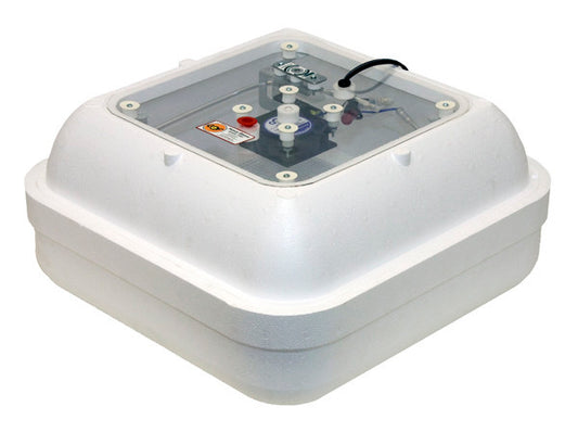 Circulated Air Picture Window Hova-Bator Incubator