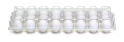 25 Clear Quail Egg Cartons